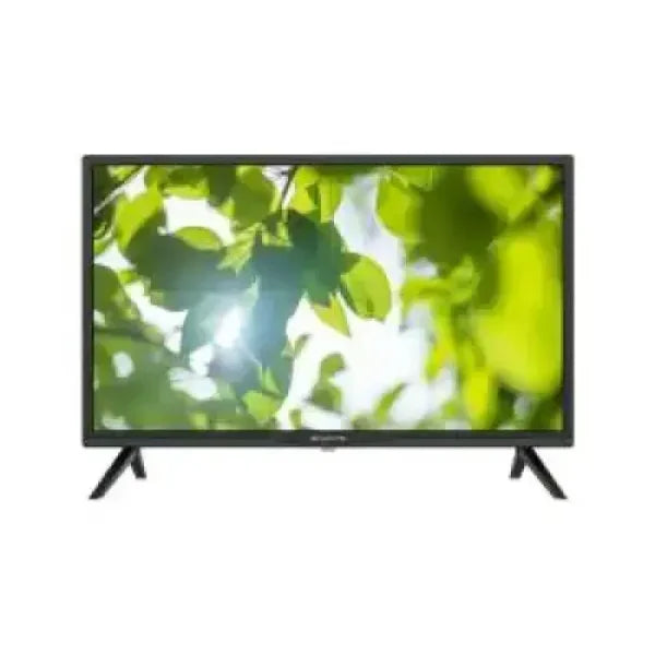 Televisore Sinudyne con cornice nera e piedini a cavalletto schermo che mostra foglie verdi nitide