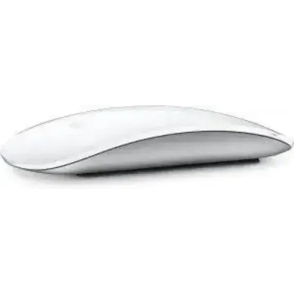 Apple Magic Mouse (2024) Usb-C Silver EU MXK53ZM/A Accessori informatica