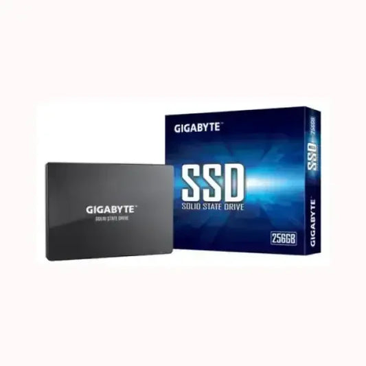Disco rigido SSD GIGABYTE da 256GB con confezione blu per spazio di archiviazione veloce