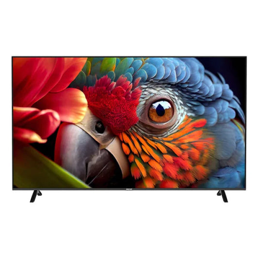 Televisore Innohit IH65UWB4 con schermo ampio e immagine ad alta definizione di un pappagallo colorato
